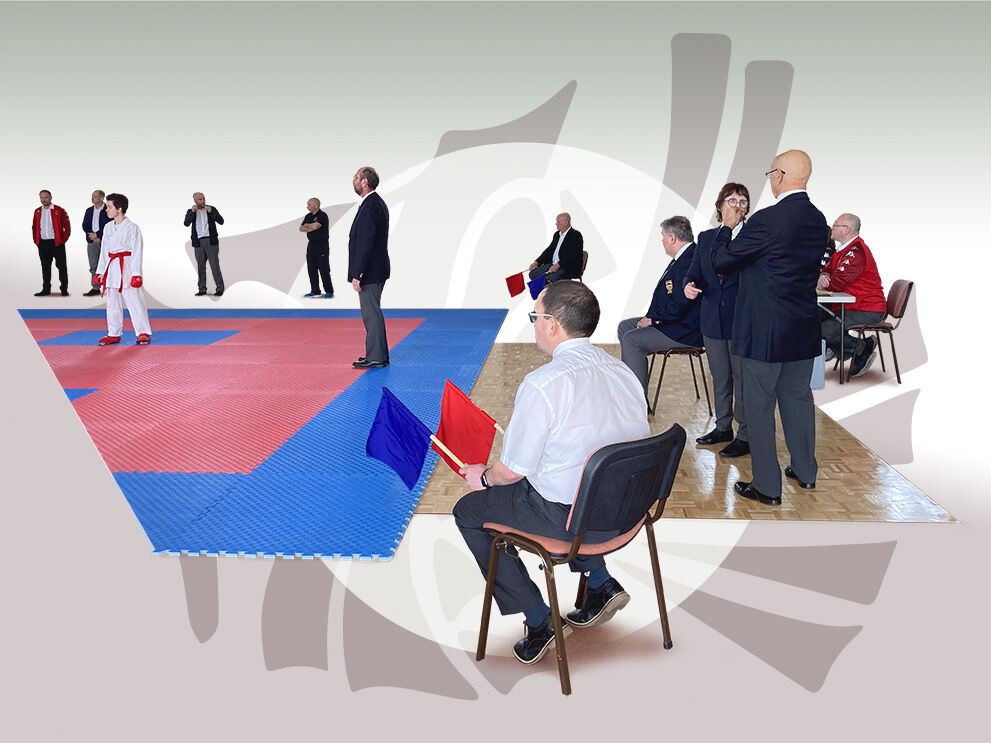 Officials course for referees, judges, coaches