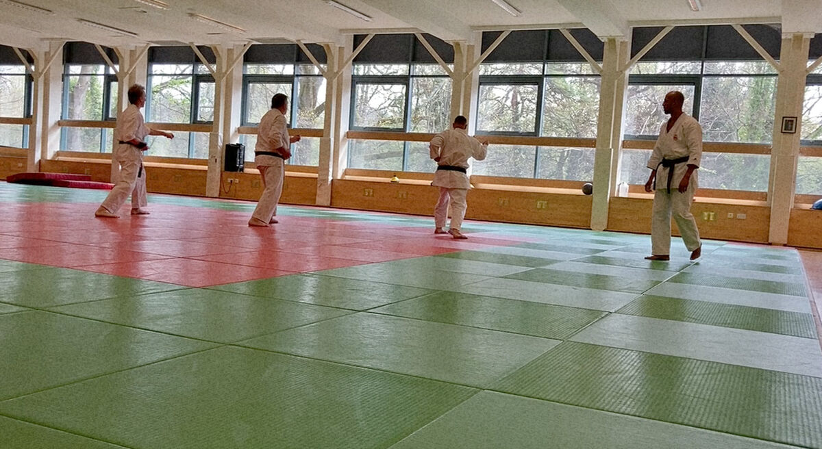 Role of the coach